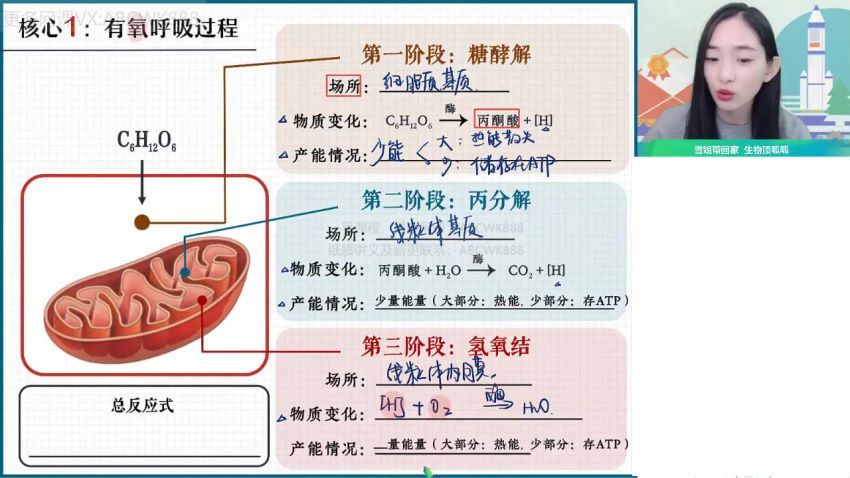 作业帮：【2022寒】高二生物尖端班杨雪，百度网盘分享