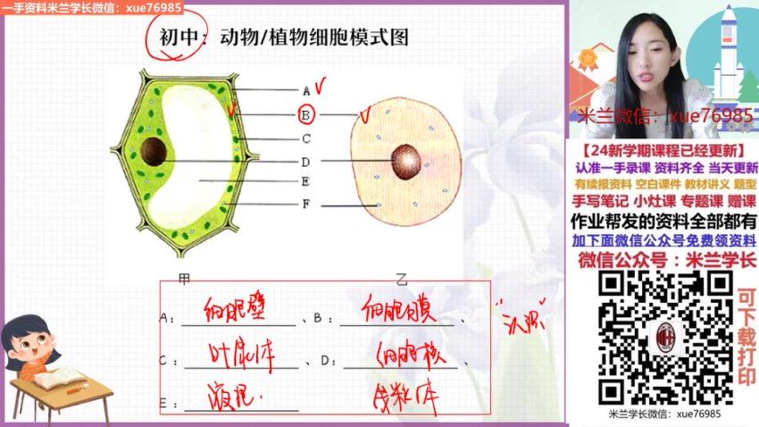 2024高一生物杨雪暑假班，百度网盘分享