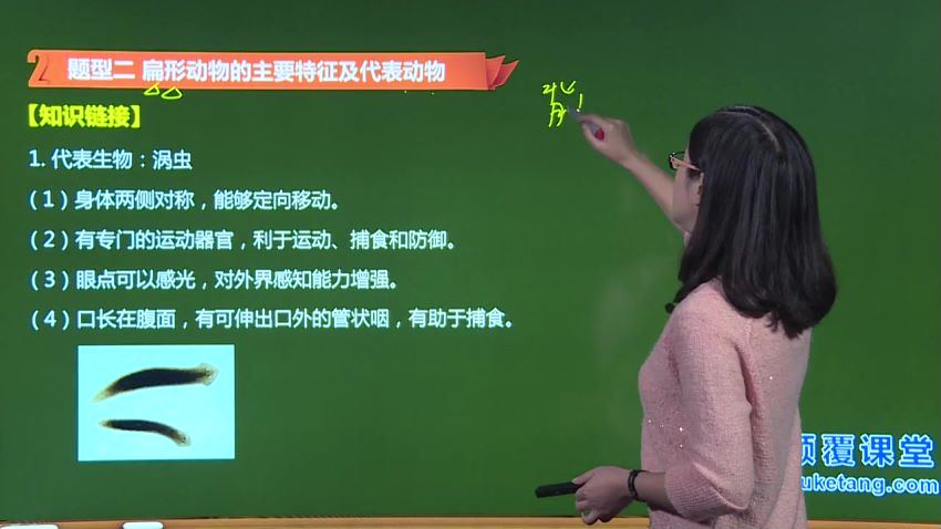 初中生物全套教学视频（颠覆），百度网盘分享