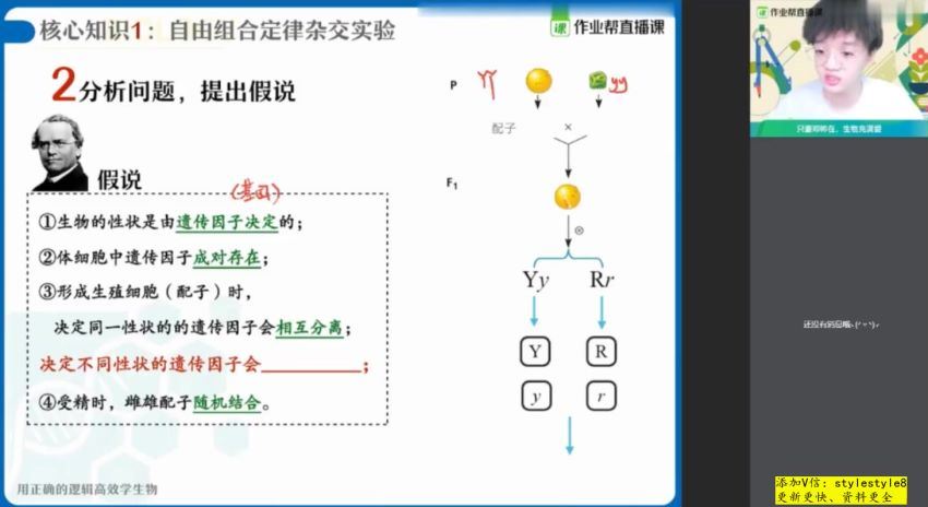 邓康尧2021春季高一尖端班 (2.33G)，百度网盘