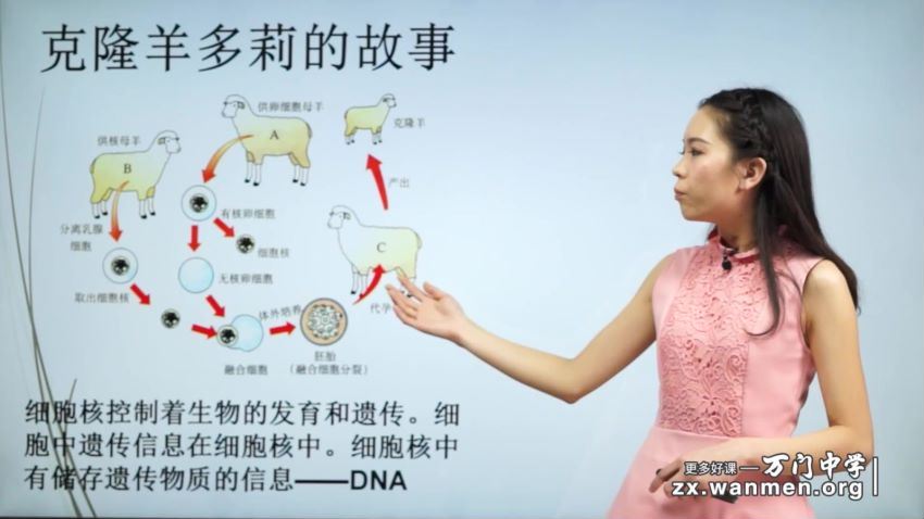 初中生物全套教学视频（万门），百度网盘分享