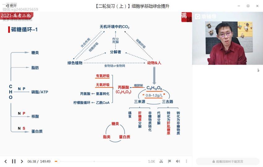 张鹏2021高三生物寒假班（985） (16.87G)，百度网盘分享