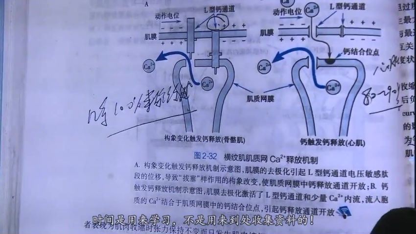 2023考研西医综合：【名师精品】改命-冲刺课程！，百度网盘分享