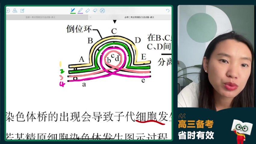 2024高三新东方毛慧生物冲刺护航班(押题班)，百度网盘分享