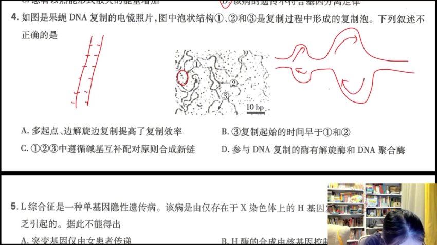 2024高三生物周芳煜一轮暑秋，百度网盘分享