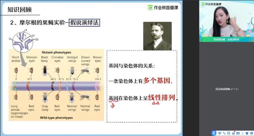 杨雪备考20212020年秋季班高三生物985班 (7.67G)，百度网盘