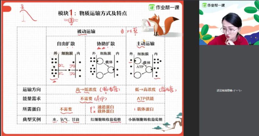 段瑞莹2019高一生物秋尖端班 (12.24G)，百度网盘