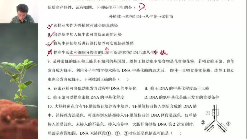 2024高三生物张鹏二轮寒春精讲，百度网盘分享