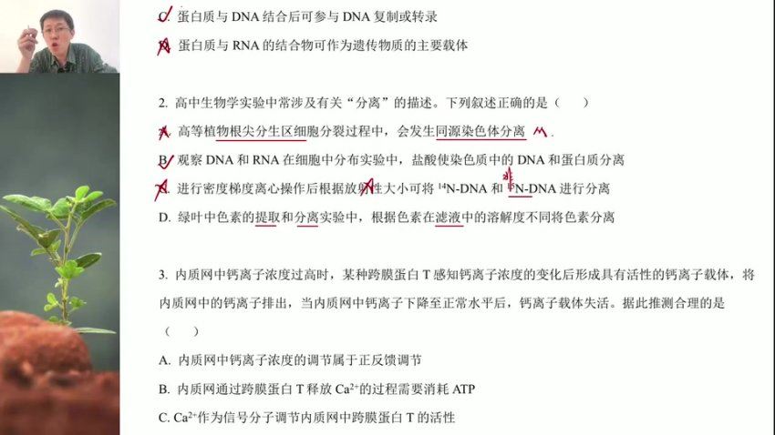 2024高三生物张鹏二轮寒春精讲，百度网盘分享