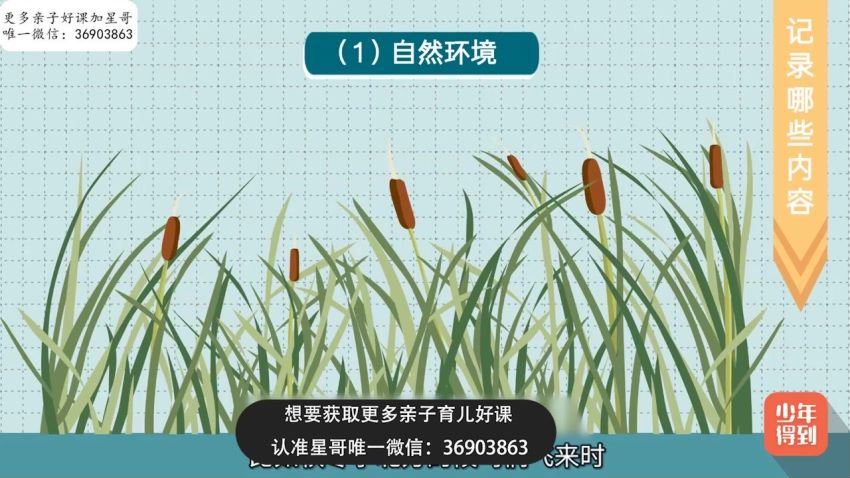 少年得到：【完结】小学新教材作文通关丨日记周记，百度网盘