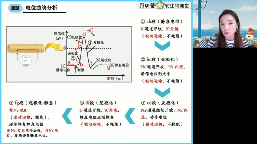 2024高三高途段瑞莹生物点睛班(押题班)，百度网盘分享