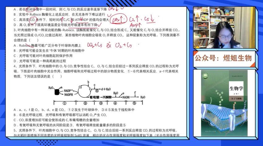 2024高三生物周芳煜二轮寒春，百度网盘分享