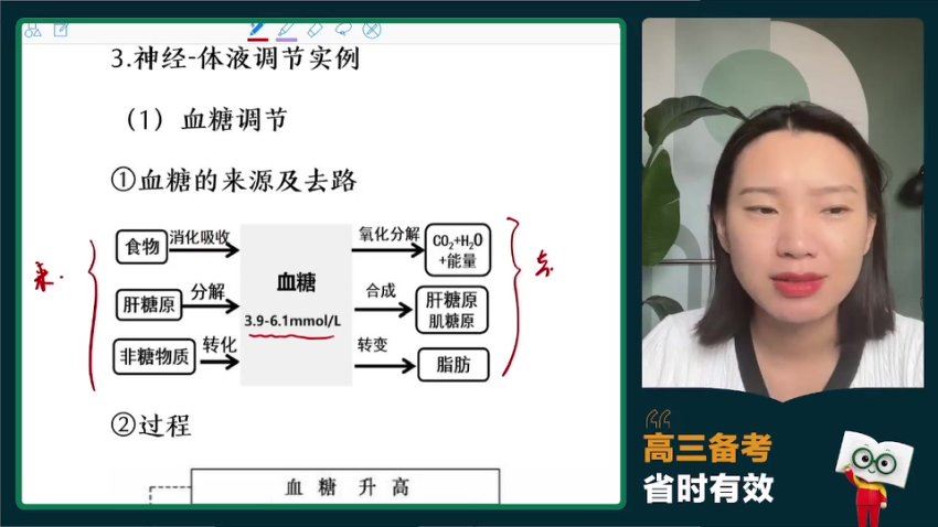 2024高三生物毛慧一轮秋季班，百度网盘分享