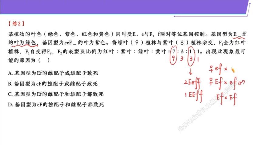 2024高三生物谢一凡二轮春季班（A+），百度网盘分享