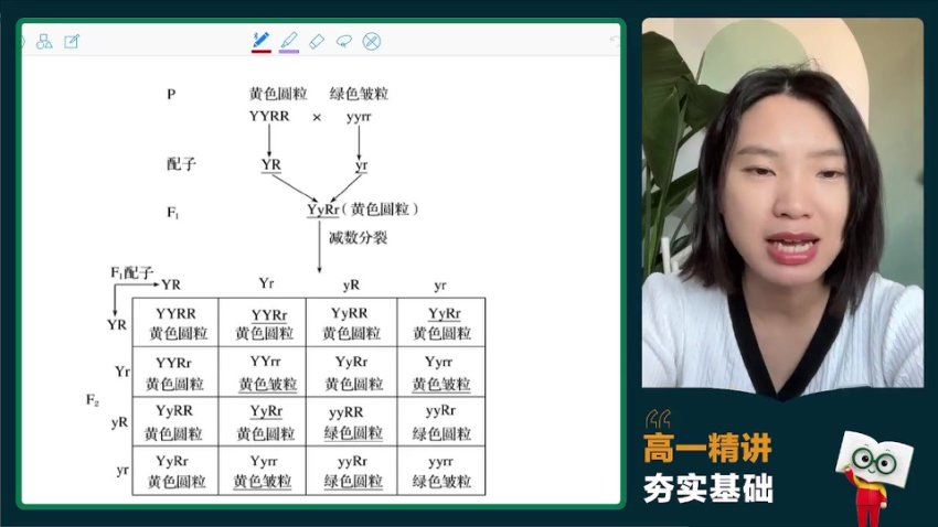 2024高三生物毛慧一轮暑假班，百度网盘分享