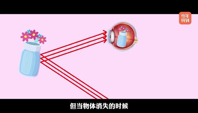 少年得到：【完结】奇妙动画实验课，百度网盘