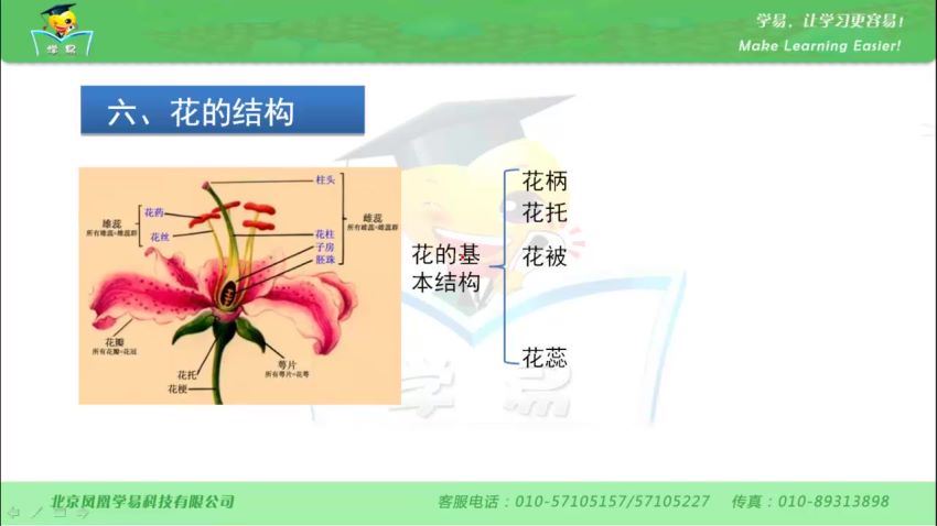 初中生物全套教学视频（学科网），百度网盘分享