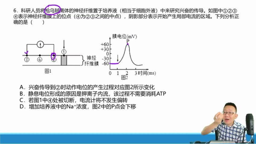 2024高二生物陈旭晨上学期，百度网盘分享