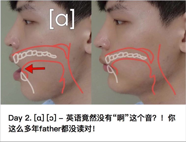 Scott学英语，百度网盘分享