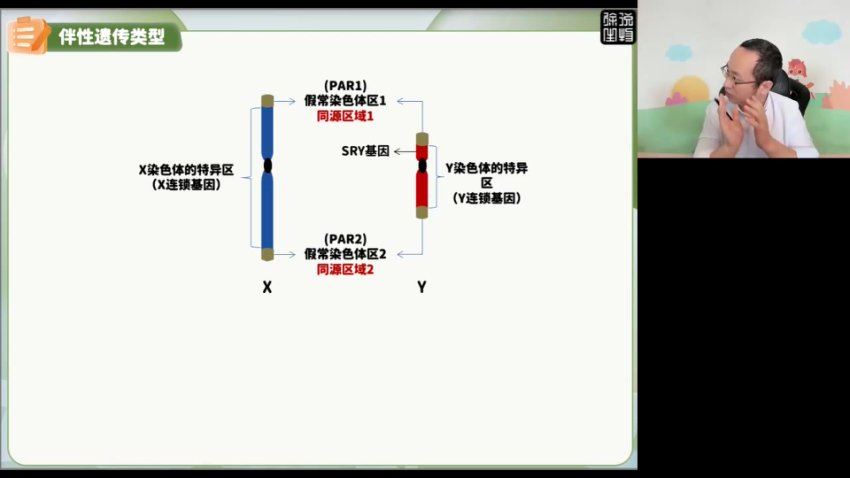 2024高三高途徐京生物点睛班(押题班)，百度网盘分享