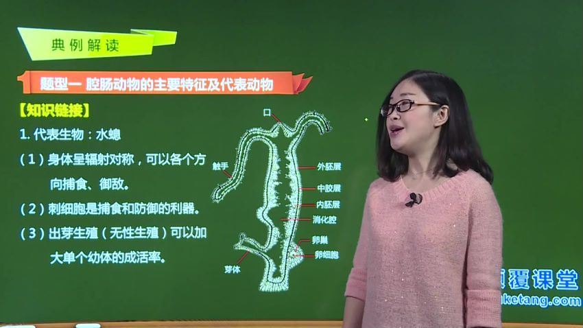 初中生物全套教学视频（颠覆），百度网盘分享