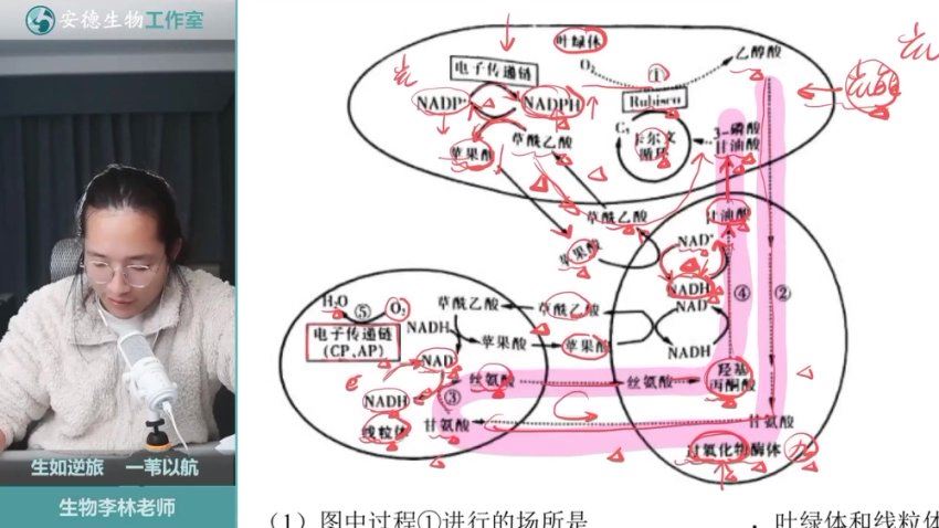 2024高三李林｜生物考前定海神针课程(押题班)，百度网盘分享