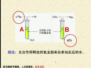 高中生物必修1汉水丑生 (592.15M)，百度网盘