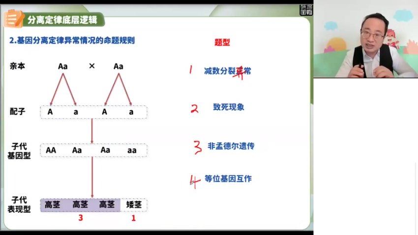 2024高三生物徐京一轮秋季班，百度网盘分享