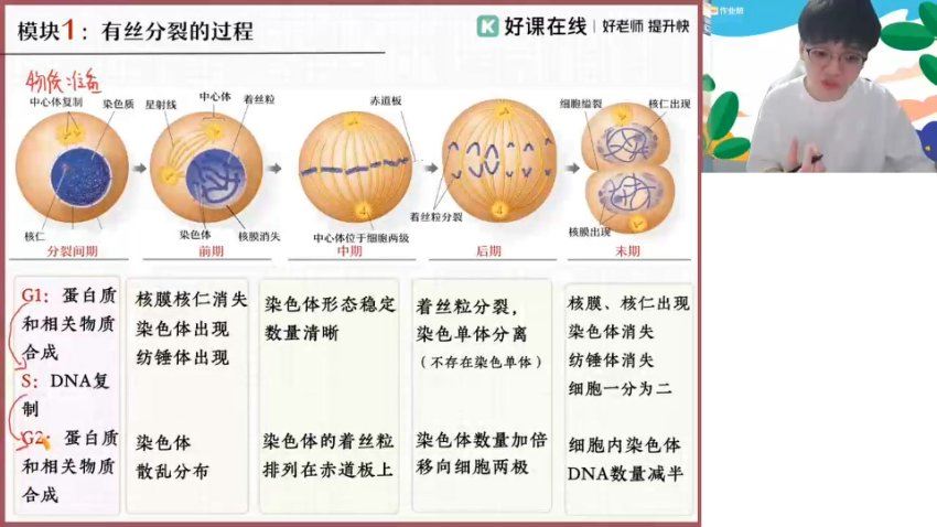 2024高一生物邓康尧寒假班，百度网盘分享