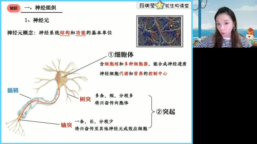 2024高三高途段瑞莹生物点睛班(押题班)，百度网盘分享