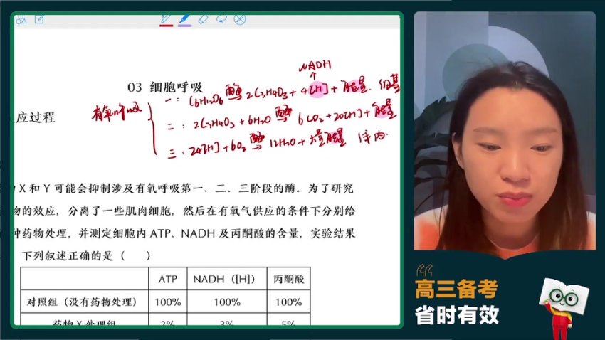 2024高三生物毛慧二轮寒假班，百度网盘分享