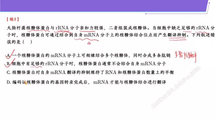 2024高三生物谢一凡二轮寒假班（A+），百度网盘分享