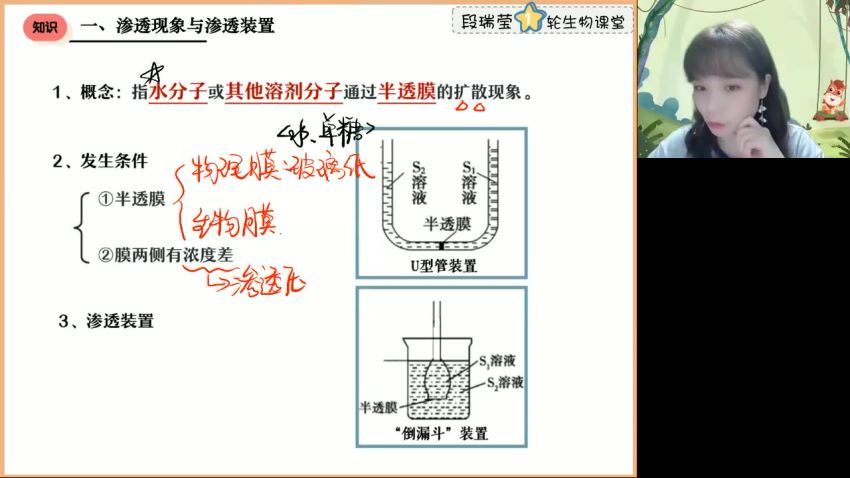 2023高徒高三生物段瑞莹（箐英班）暑假班，百度网盘分享