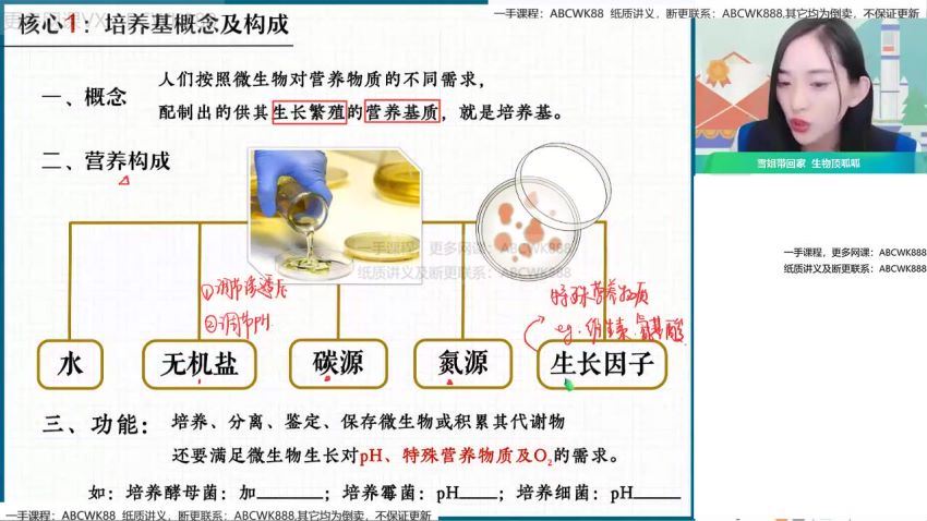 作业帮：【2022春】高二生物尖端班杨雪，百度网盘分享