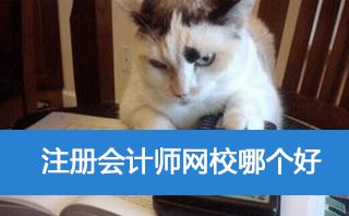 学习注会什么网站比较好？