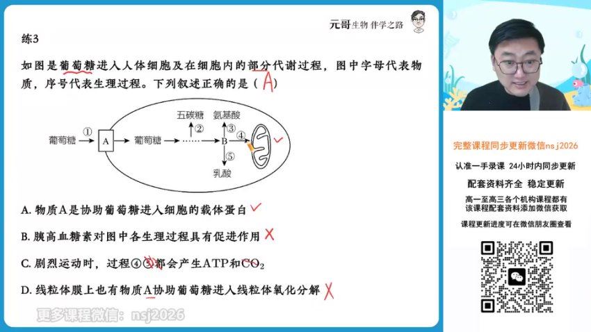 2024高三生物张元振一轮暑假班，百度网盘分享
