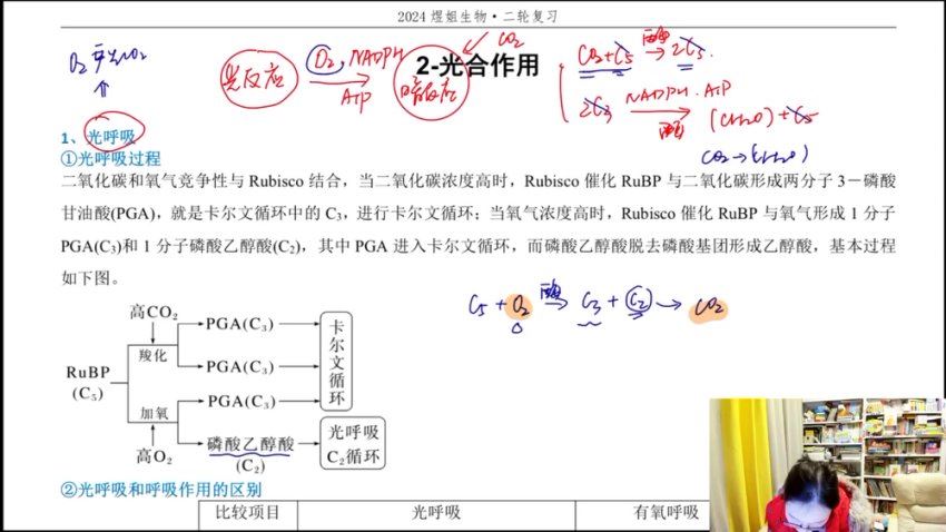 2024高三生物周芳煜二轮寒春，百度网盘分享