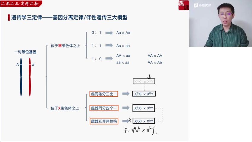 2023高三猿辅导生物张鹏全年班，百度网盘分享