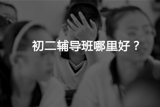 初二辅导报什么网校好？